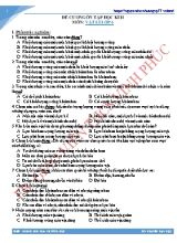 Đề cương ôn tập học kì II mô Vật lí Lớp 6 - Thiên Hương